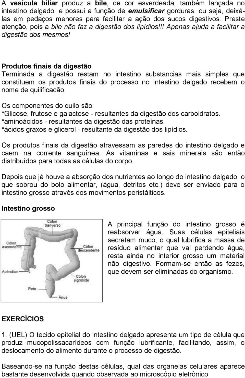 Produtos finais da digestão Terminada a digestão restam no intestino substancias mais simples que constituem os produtos finais do processo no intestino delgado recebem o nome de quilificacão.