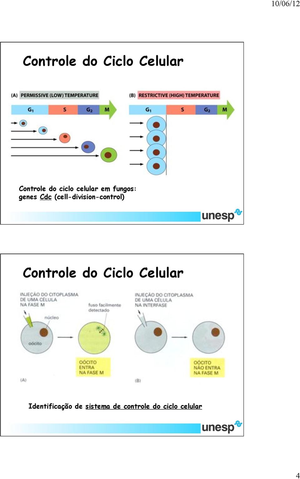 (cell-division-control)