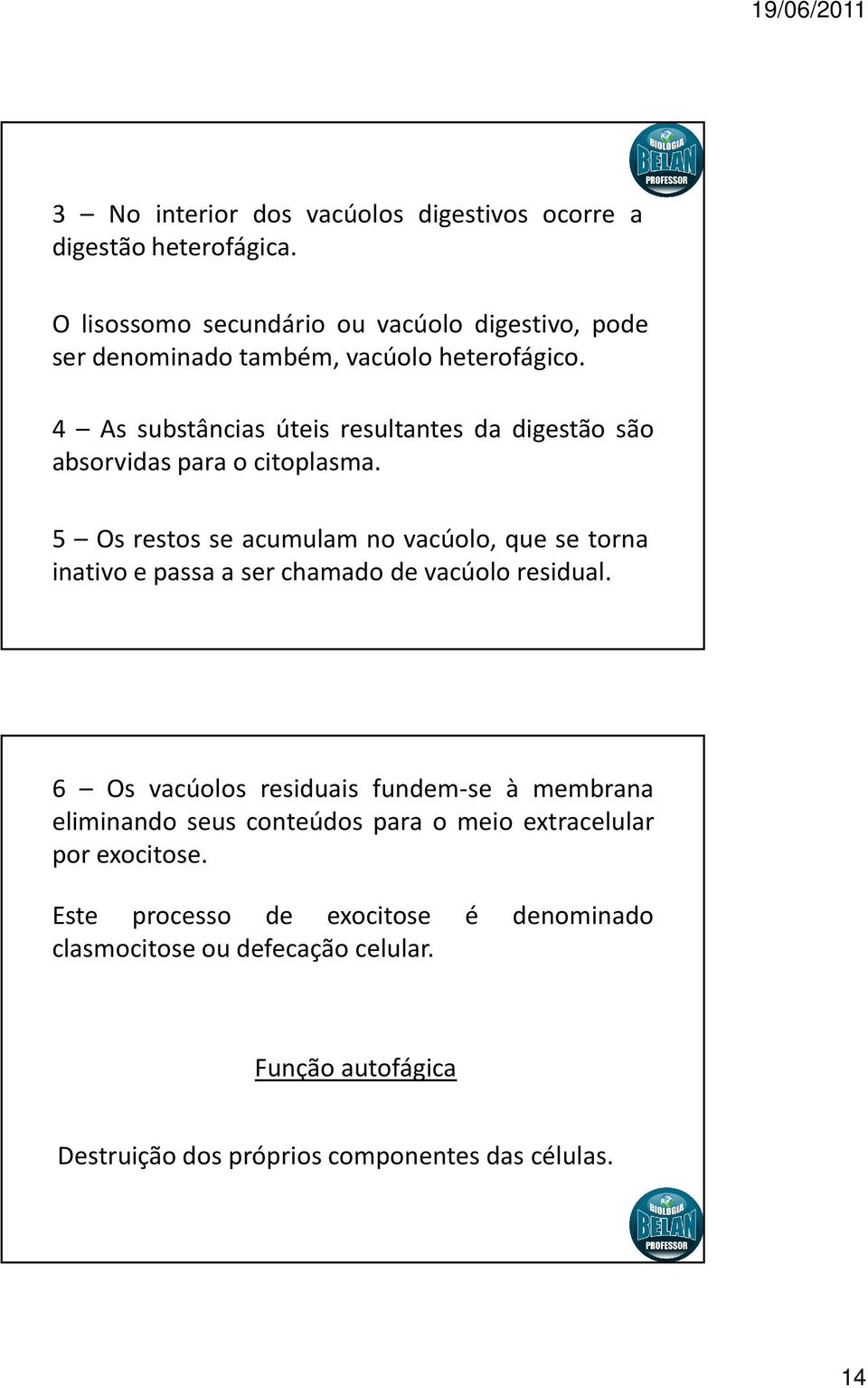 4 As substâncias úteis resultantes da digestão são absorvidas para o citoplasma.