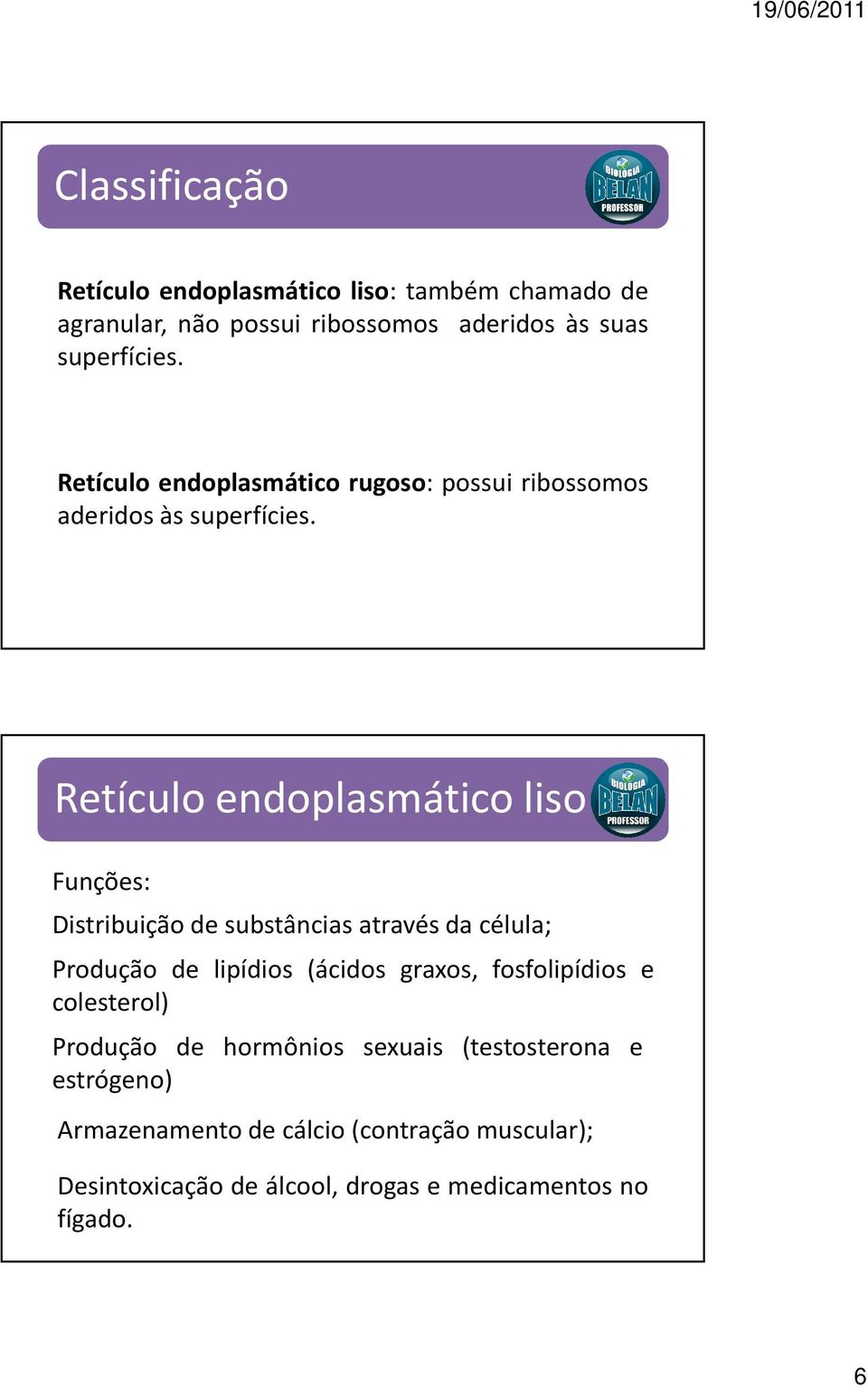 Retículo endoplasmático liso Funções: Distribuição de substâncias através da célula; Produção de lipídios (ácidos graxos,
