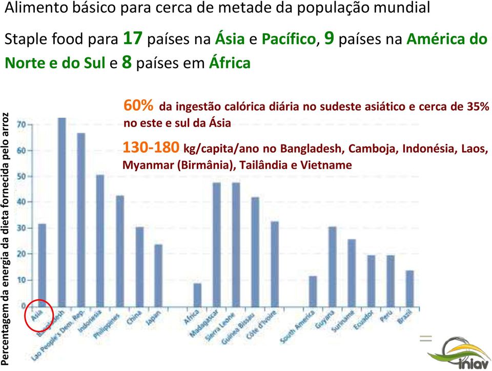 países em África 60% da ingestão calórica diária no sudeste asiático e cerca de 35% no este e sul da