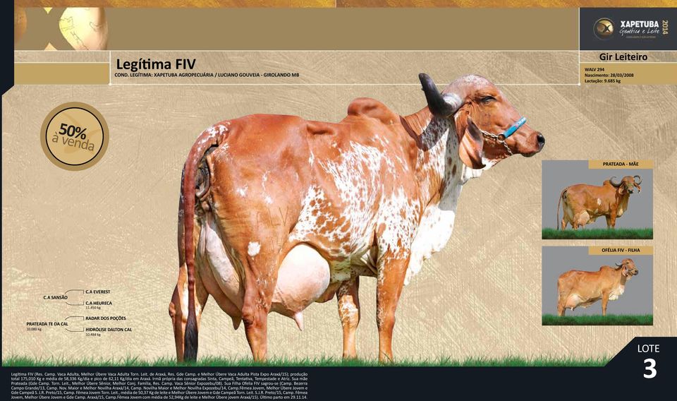 e Melhor Úbere Vaca Adulta Pista Expo Araxá/15); produção total 175,010 Kg e média de 58,336 Kg/dia e pico de 62,11 Kg/dia em Araxá.