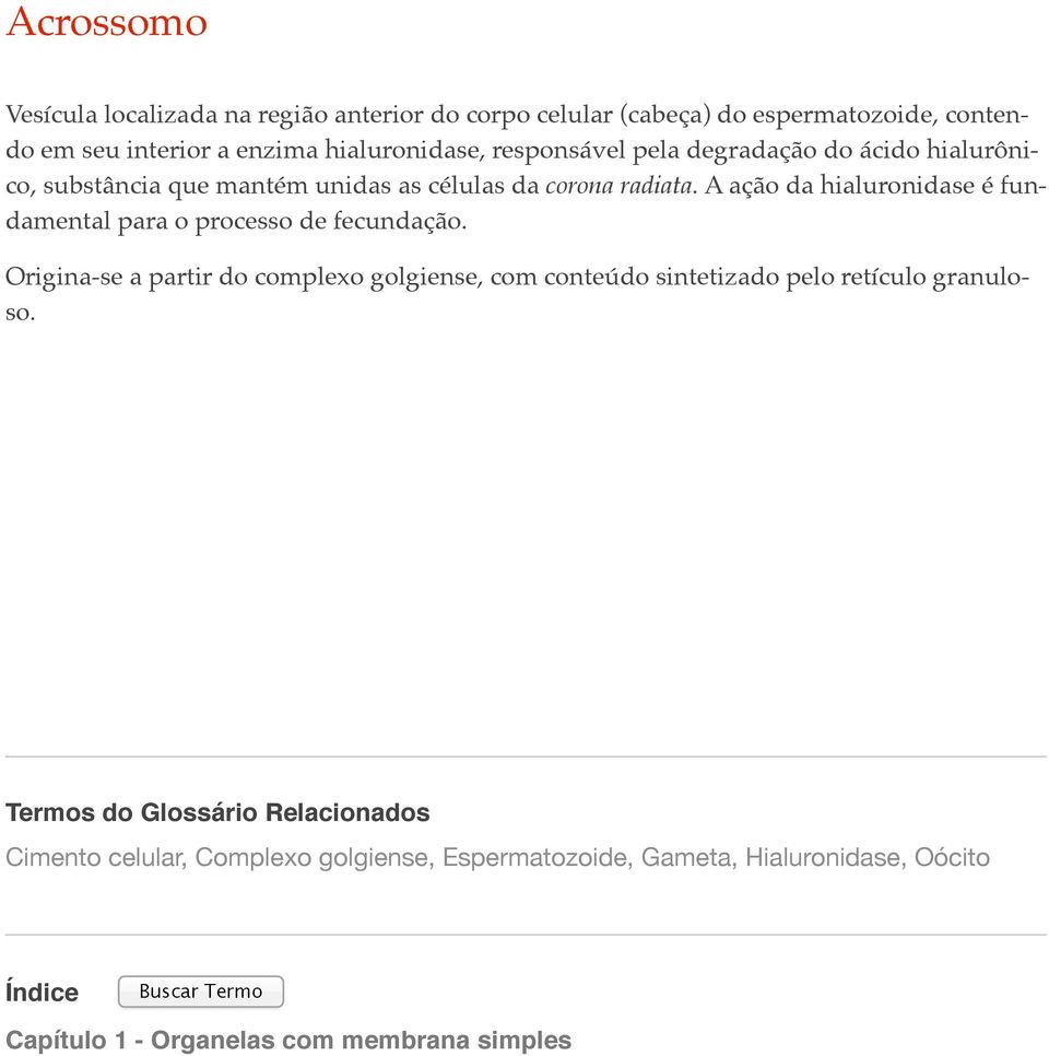 A ação da hialuronidase é fundamental para o processo de fecundação.