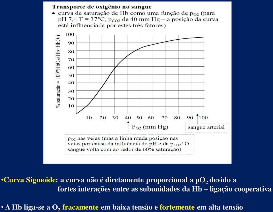 as subunidades da Hb ligação cooperativa A Hb