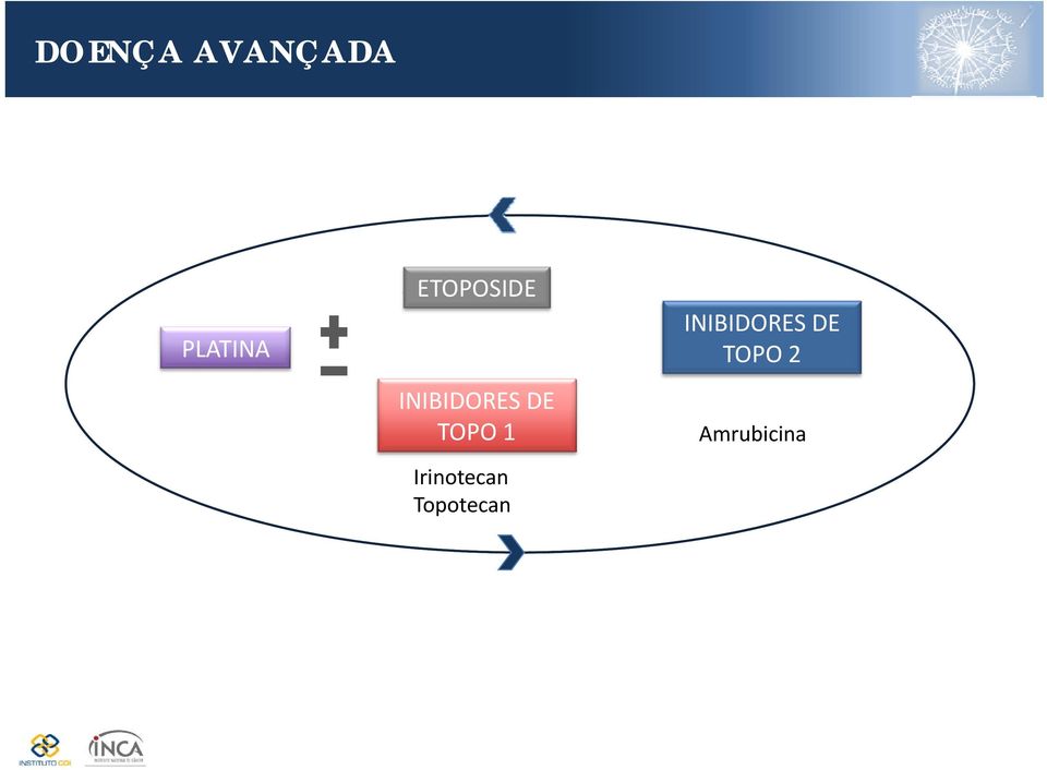 TOPO 1 Irinotecan