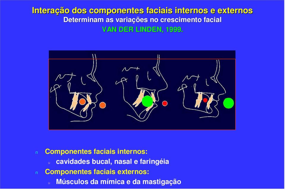 1999. Componentes faciais internos: u cavidades bucal, nasal e