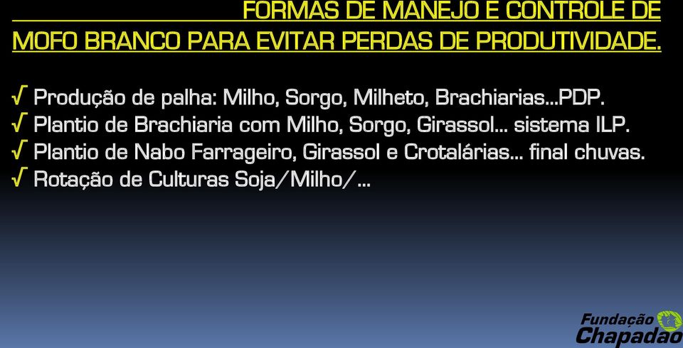 Plantio de Brachiaria com Milho, Sorgo, Girassol sistema ILP.