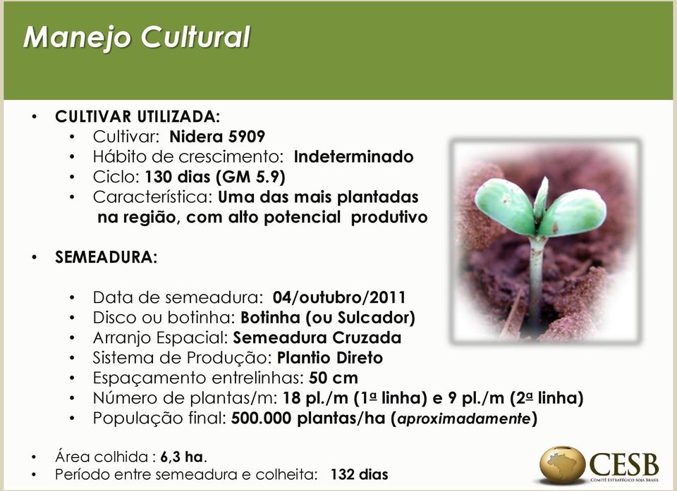 botinha: Botinha (ou Sulcador) Arranjo Espacial: Semeadura Cruzada Sistema de Produção: Plantio Direto Espaçamento entrelinhas: 50 cm Número de