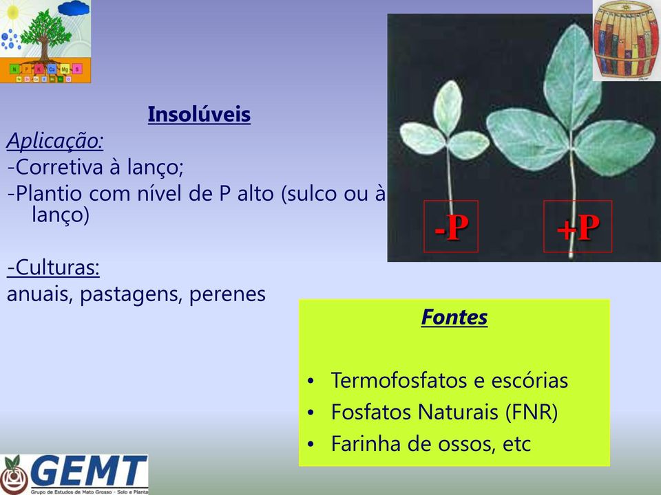 anuais, pastagens, perenes -P Fontes +P