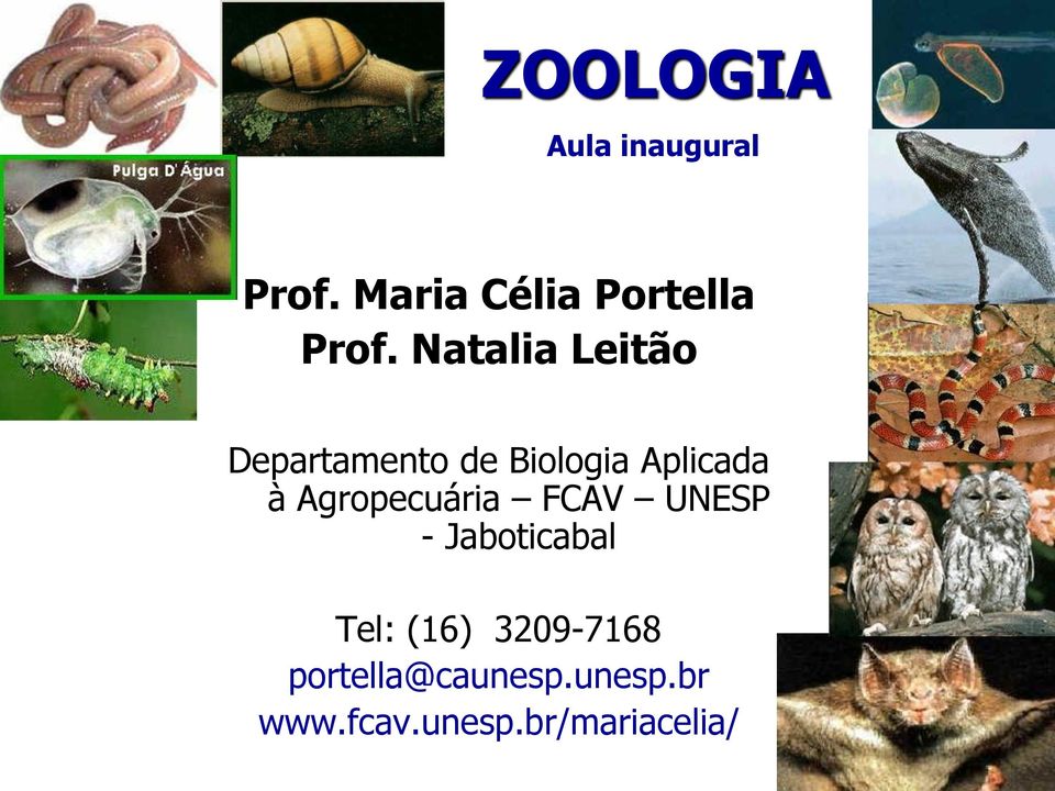 Agropecuária FCAV UNESP - Jaboticabal Tel: (16)