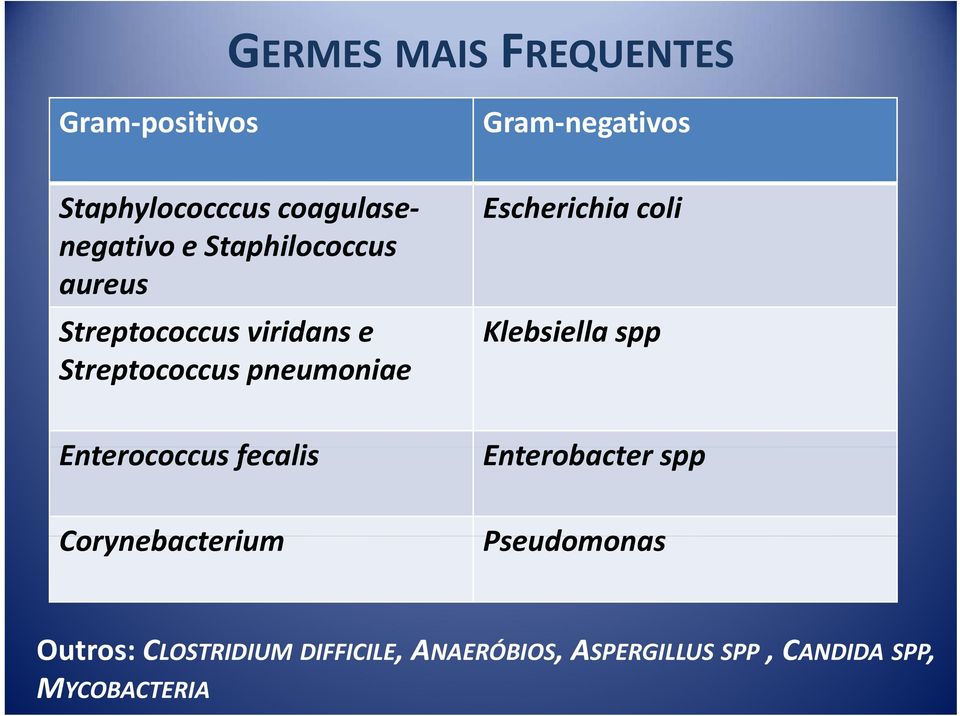 Escherichia coli Klebsiella spp Enterococcus fecalis Enterobacter t spp