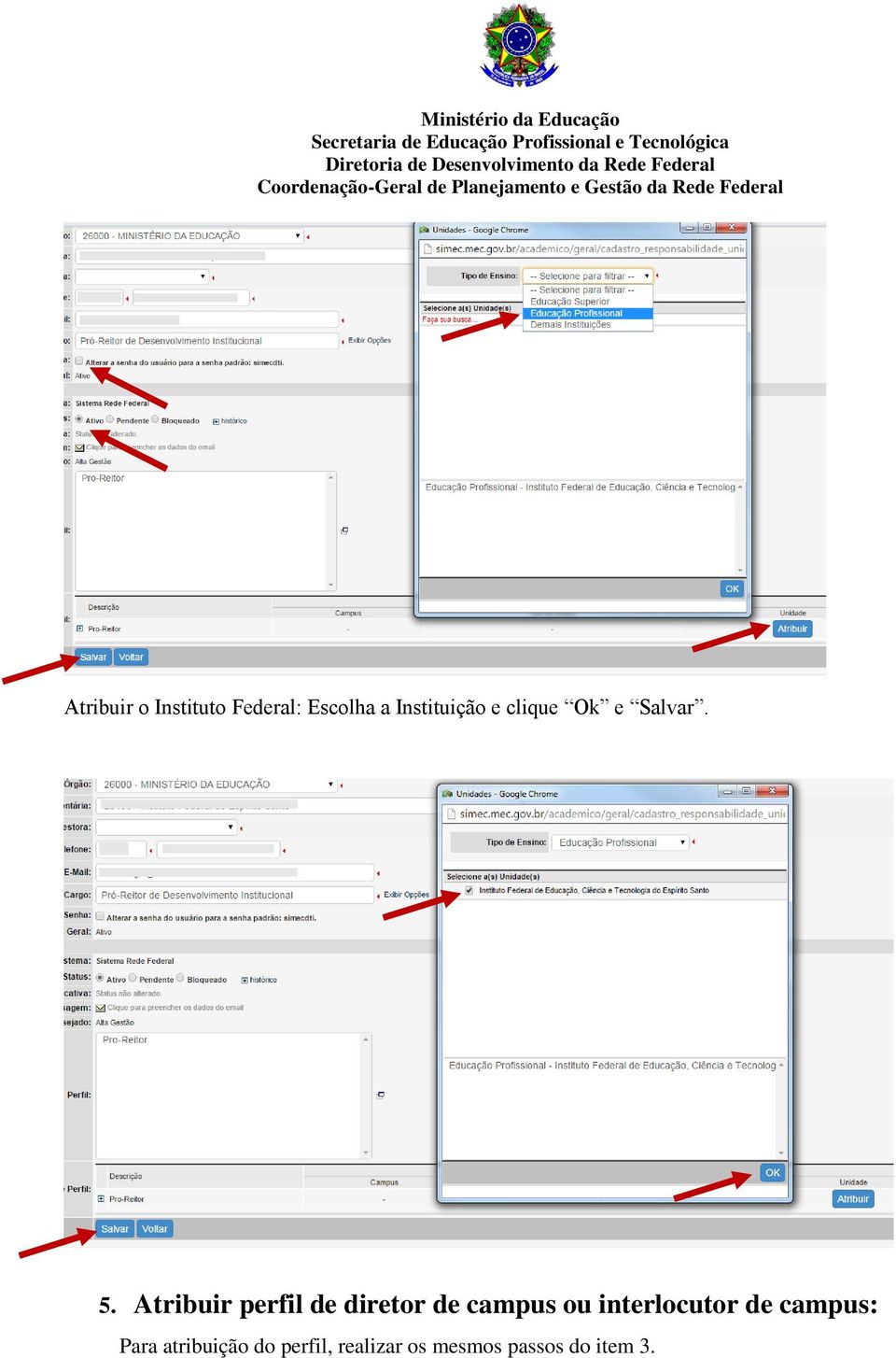 Atribuir perfil de diretor de campus ou