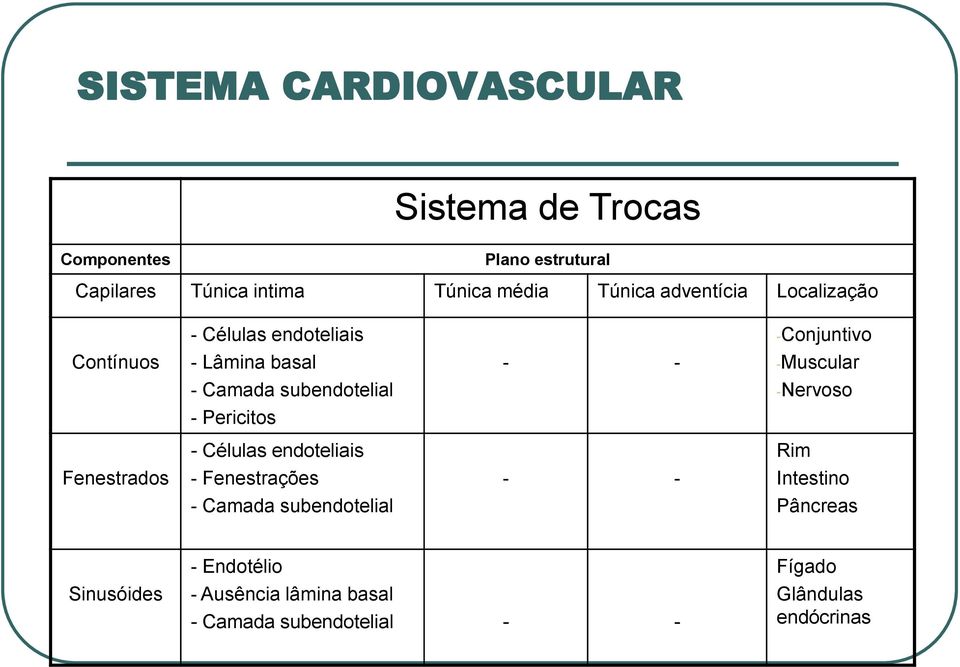 subendotelial -Nervoso - Pericitos Fenestrados - Células endoteliais - Fenestrações - - Rim Intestino - Camada