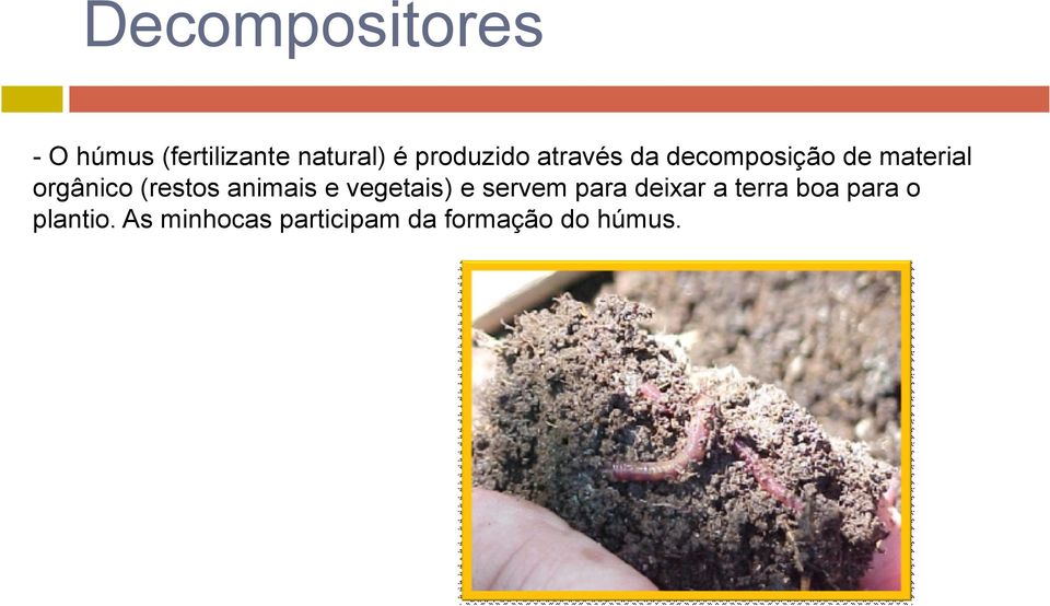 (restos animais e vegetais) e servem para deixar a terra