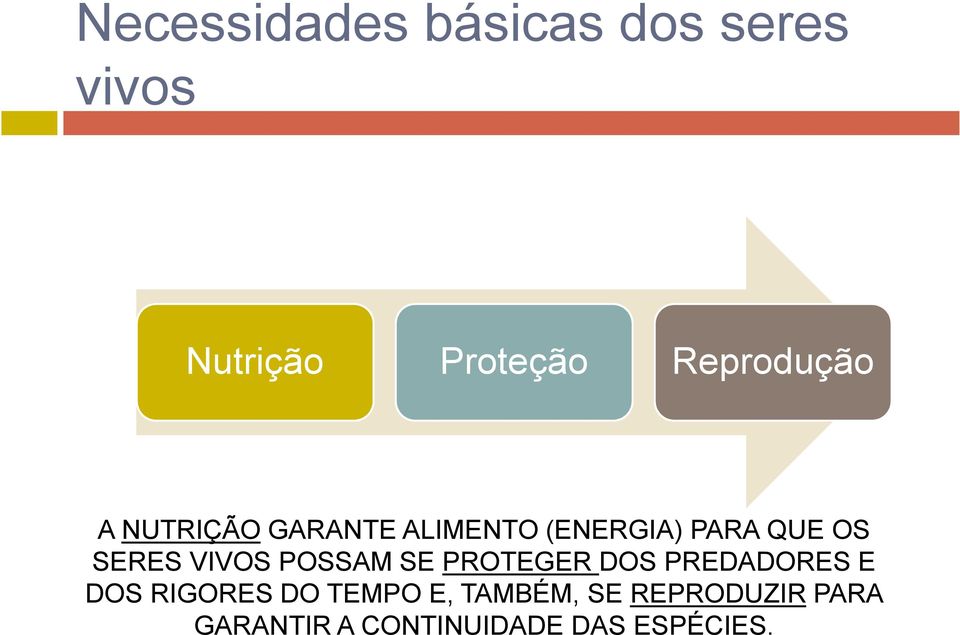 SERES VIVOS POSSAM SE PROTEGER DOS PREDADORES E DOS RIGORES DO