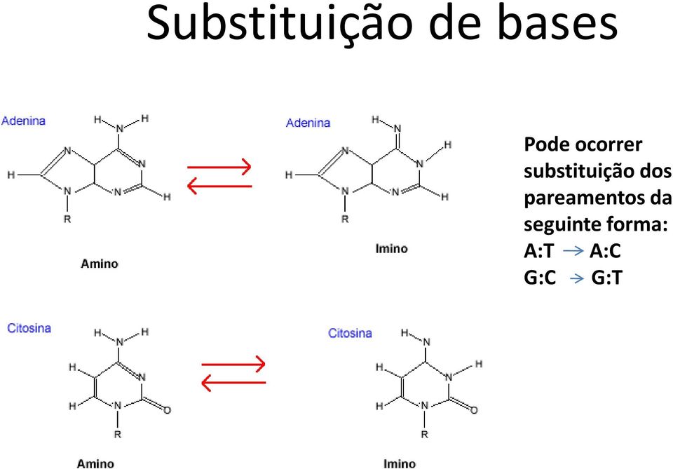 substituição dos