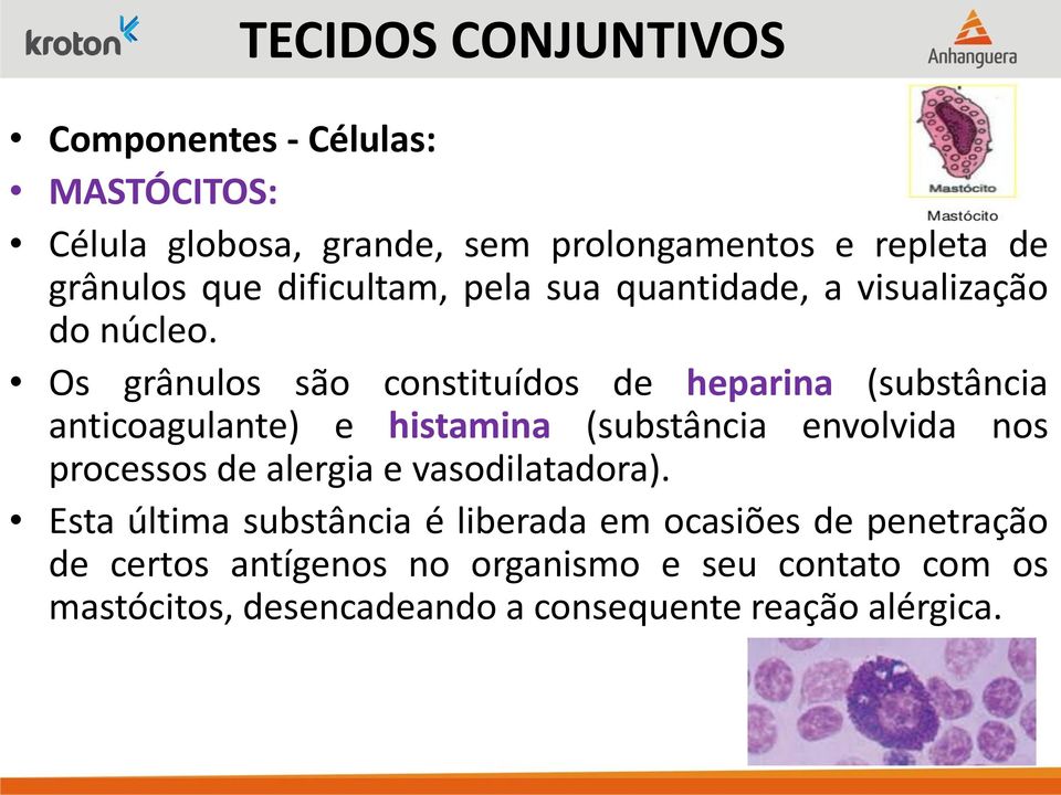 Os grânulos são constituídos de heparina (substância anticoagulante) e histamina (substância envolvida nos processos de