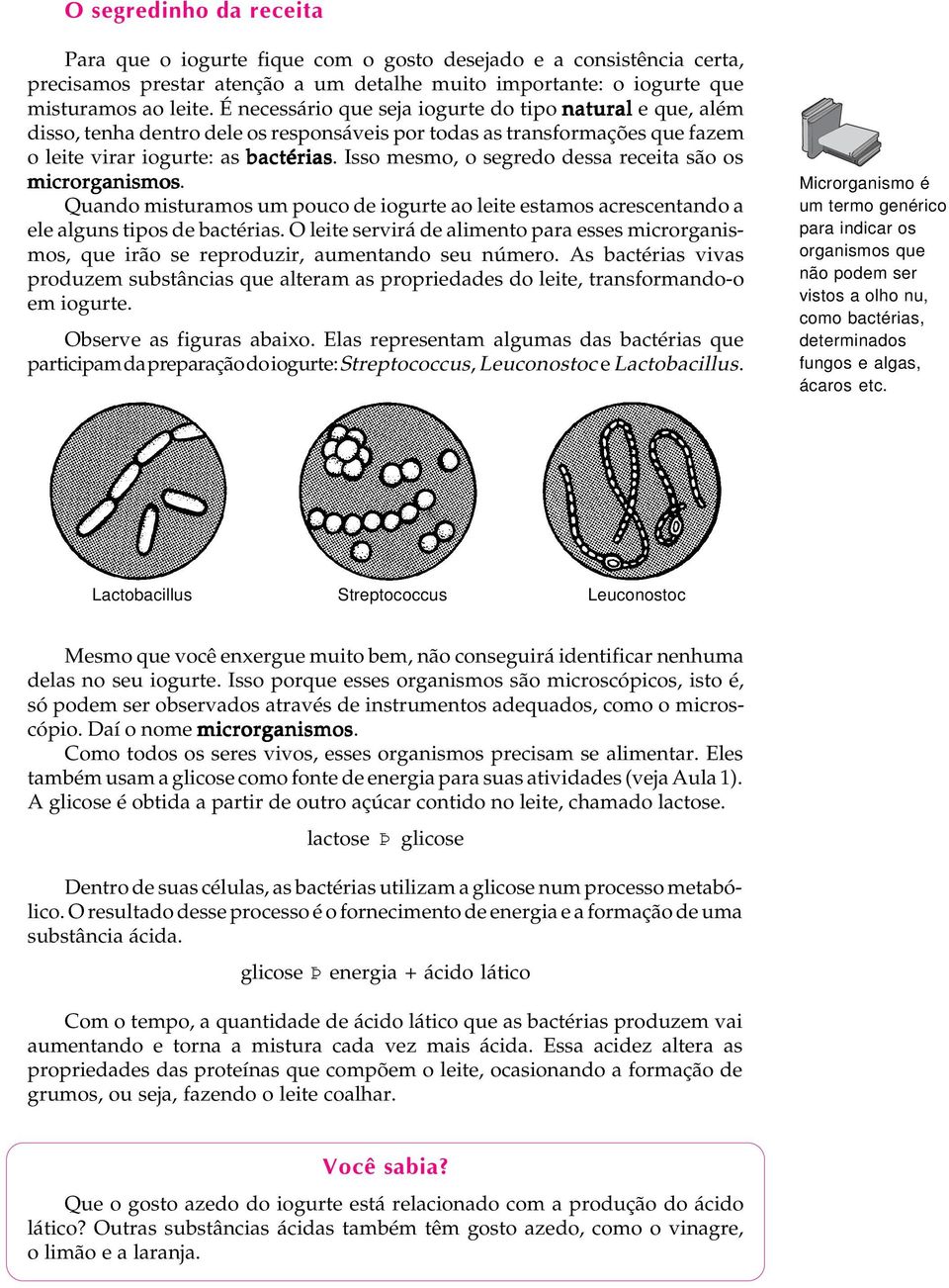 Isso mesmo, o segredo dessa receita são os microrganismos. Quando misturamos um pouco de iogurte ao leite estamos acrescentando a ele alguns tipos de bactérias.