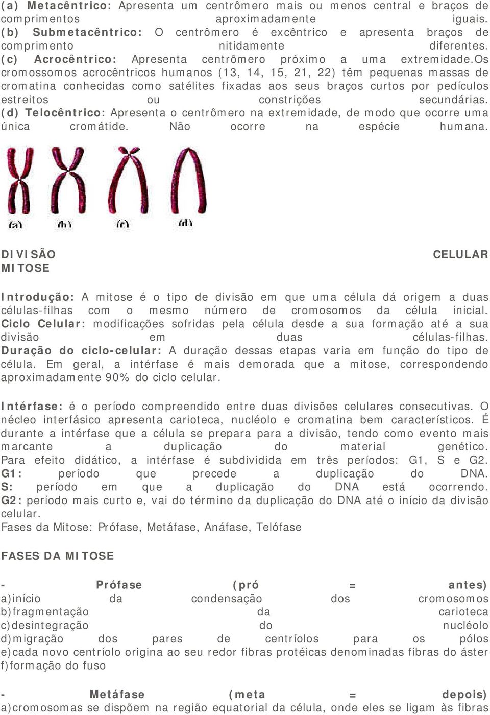 os cromossomos acrocêntricos humanos (13, 14, 15, 21, 22) têm pequenas massas de cromatina conhecidas como satélites fixadas aos seus braços curtos por pedículos estreitos ou constrições secundárias.