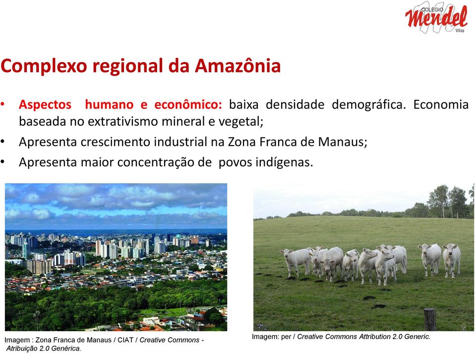 Franca de Manaus; Apresenta maior concentração de povos indígenas.
