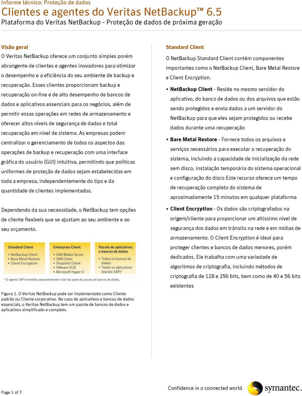 Esses clientes proporcionam backup e recuperação on-line e de alto desempenho de bancos de dados e aplicativos essenciais para os negócios, além de permitir essas operações em redes de armazenamento