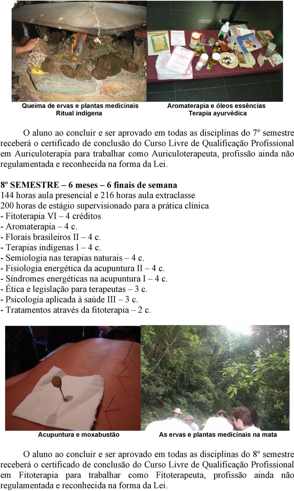 - Florais brasileiros II 4 c. - Terapias indígenas I 4 c. - Semiologia nas terapias naturais 4 c. - Fisiologia energética da acupuntura II 4 c. - Síndromes energéticas na acupuntura I 4 c.