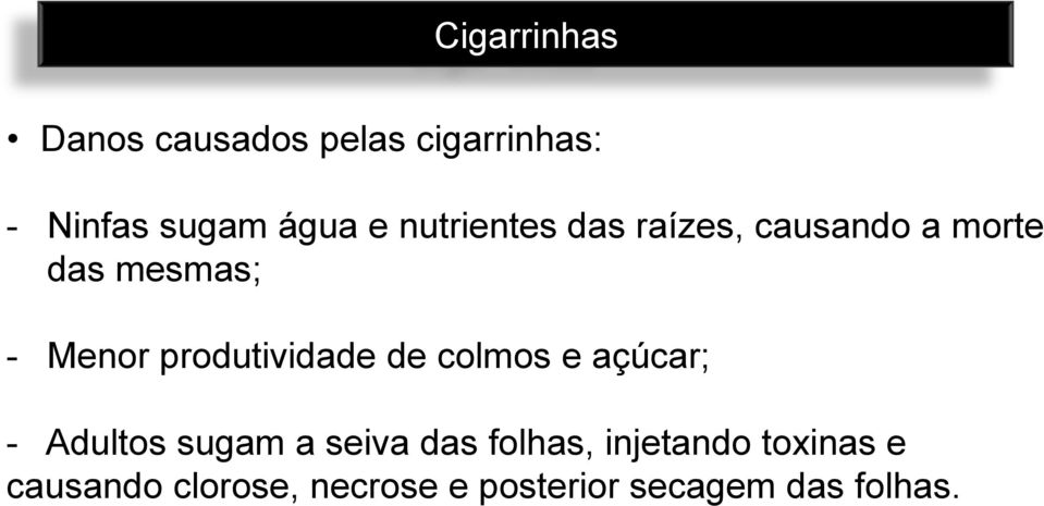 produtividade de colmos e açúcar; - Adultos sugam a seiva das