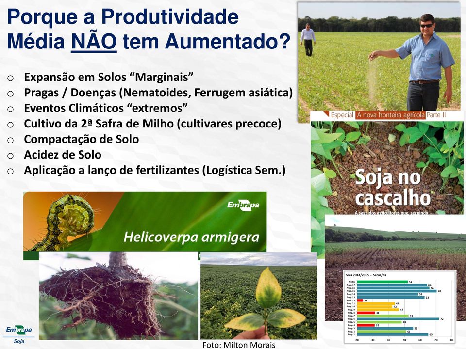 (Nematoides, Ferrugem asiática) o Eventos Climáticos extremos o Cultivo da 2ª