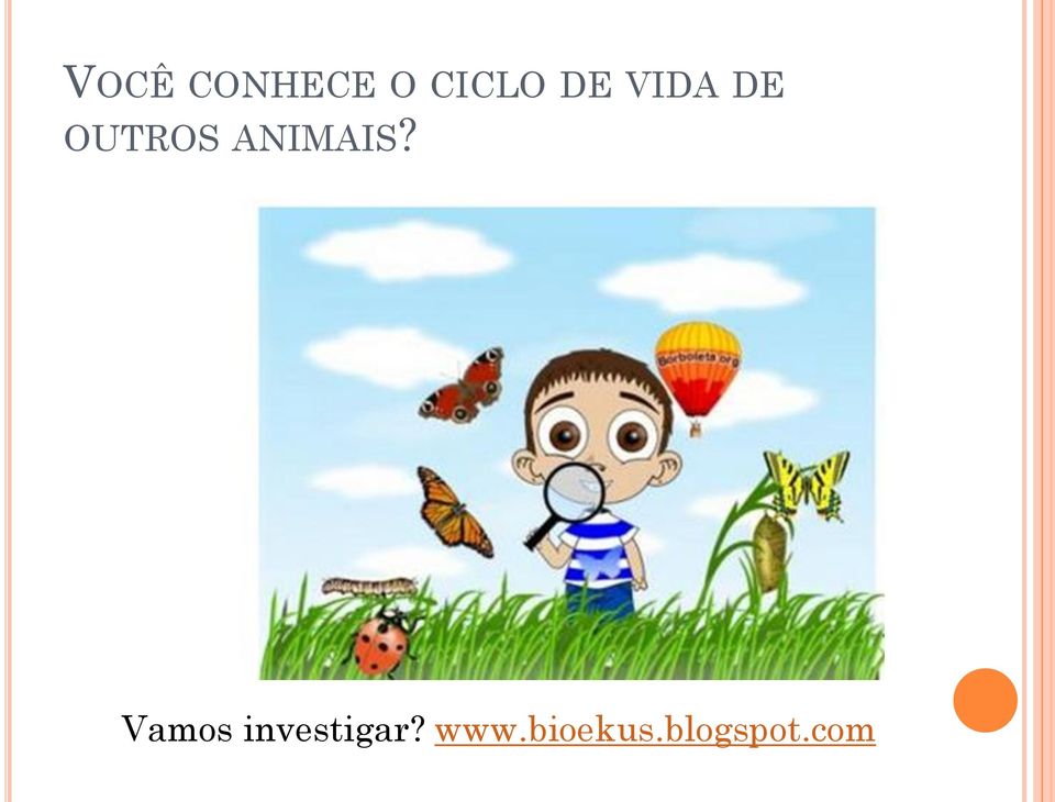 ANIMAIS?