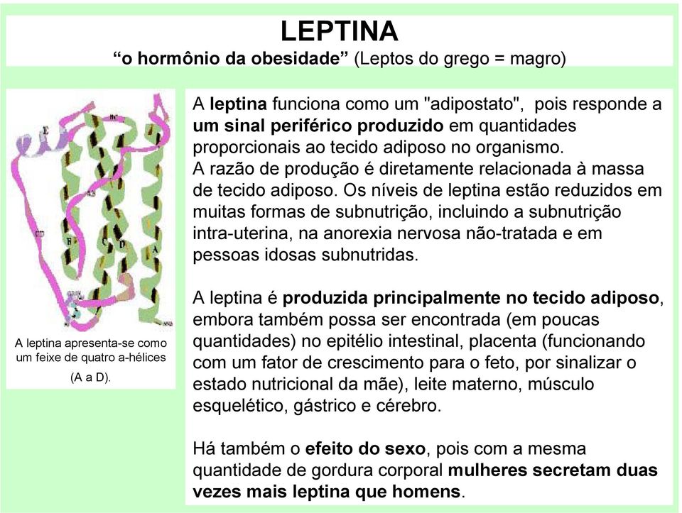 Os níveis de leptina estão reduzidos em muitas formas de subnutrição, incluindo a subnutrição intra-uterina, na anorexia nervosa não-tratada e em pessoas idosas subnutridas.
