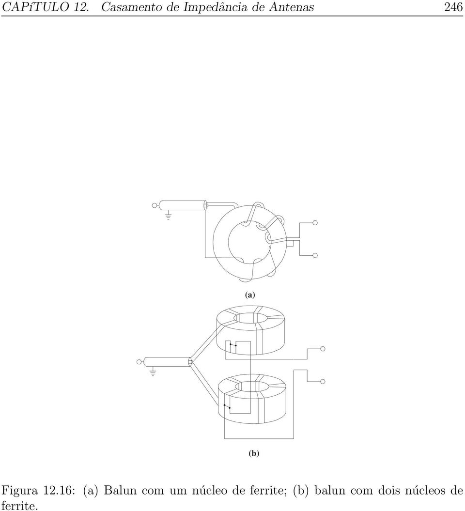 246 (a) (b) Figura 12.