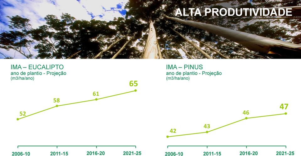 plantio - Projeção (m3/ha/ano) 46 47 42 43 2006-10