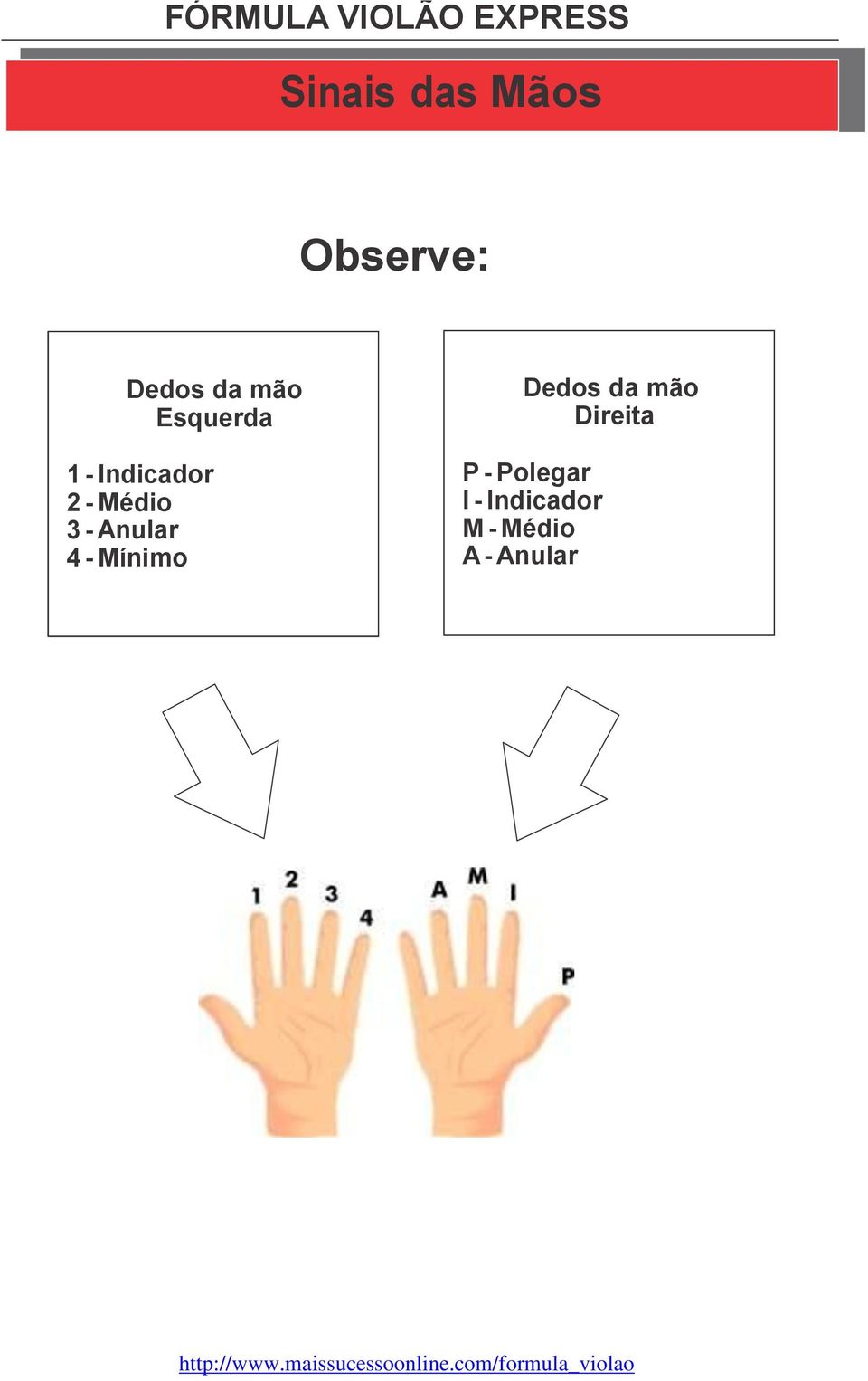 Médio - Anular 4 - Mínimo Dedos da mão Direita