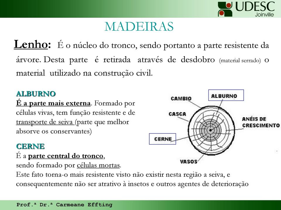 Formado por células vivas, tem função resistente e de transporte de seiva (parte que melhor absorve os conservantes) CERNE É a parte