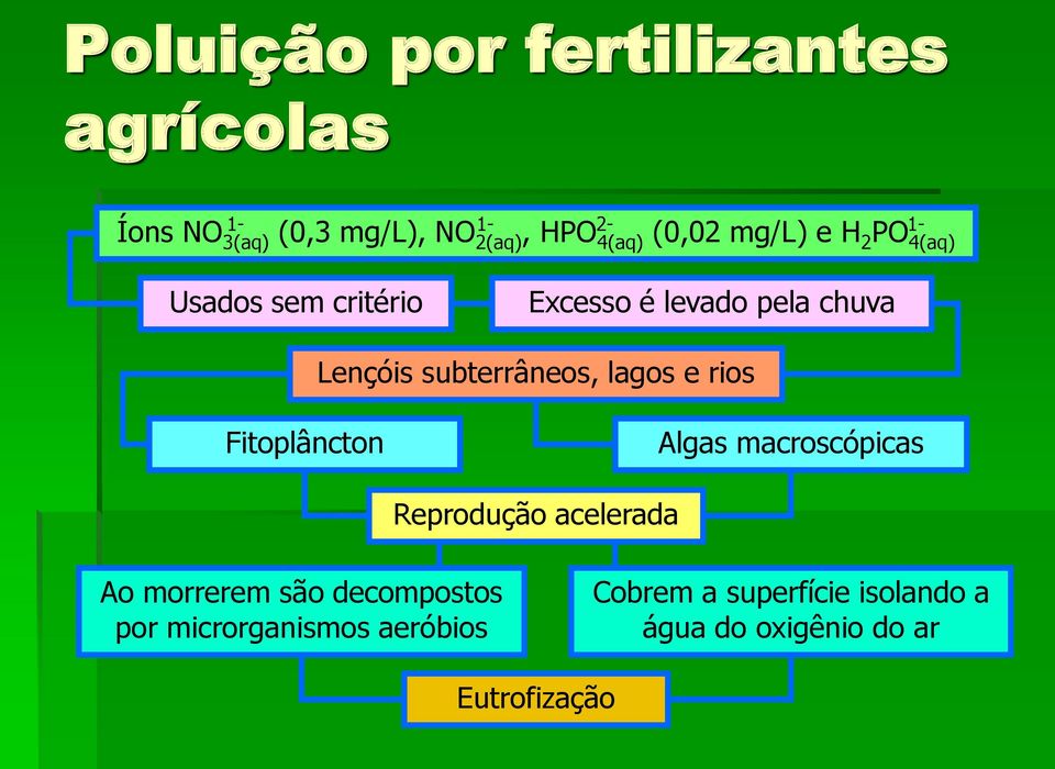 subterrâneos, lagos e rios Fitoplâncton Algas macroscópicas Reprodução acelerada Ao morrerem