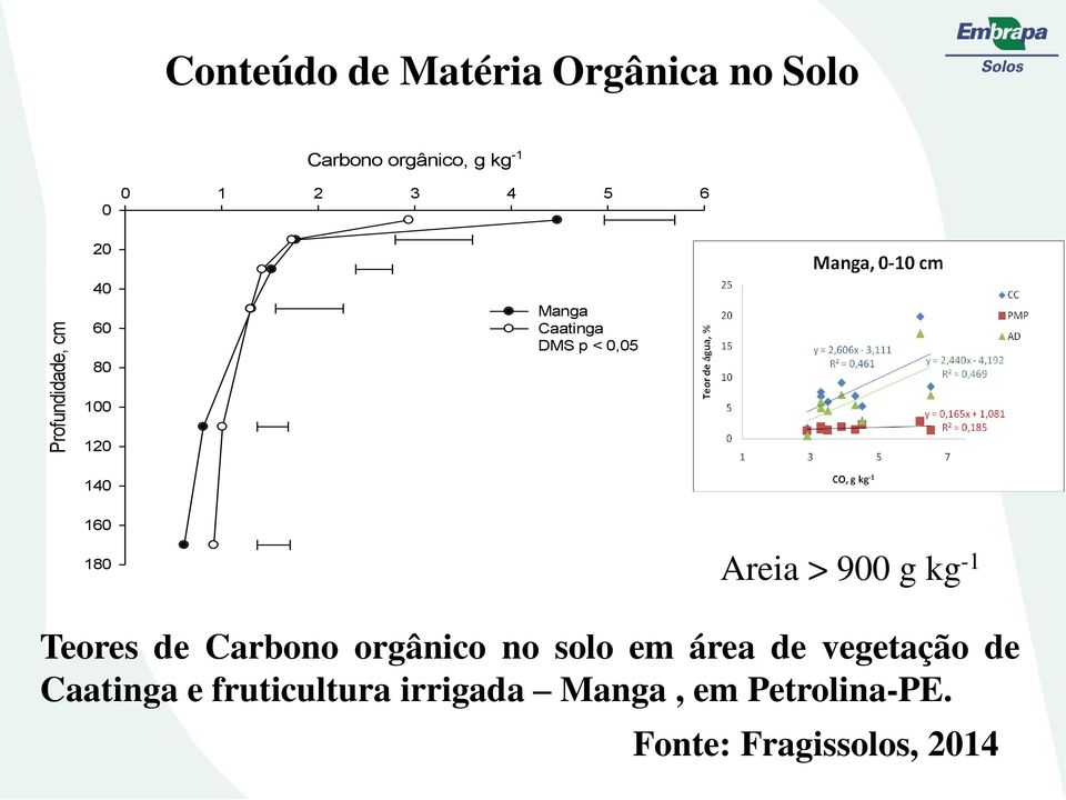 Areia > 900 g kg -1 Teores de Carbono orgânico no solo em área de vegetação de