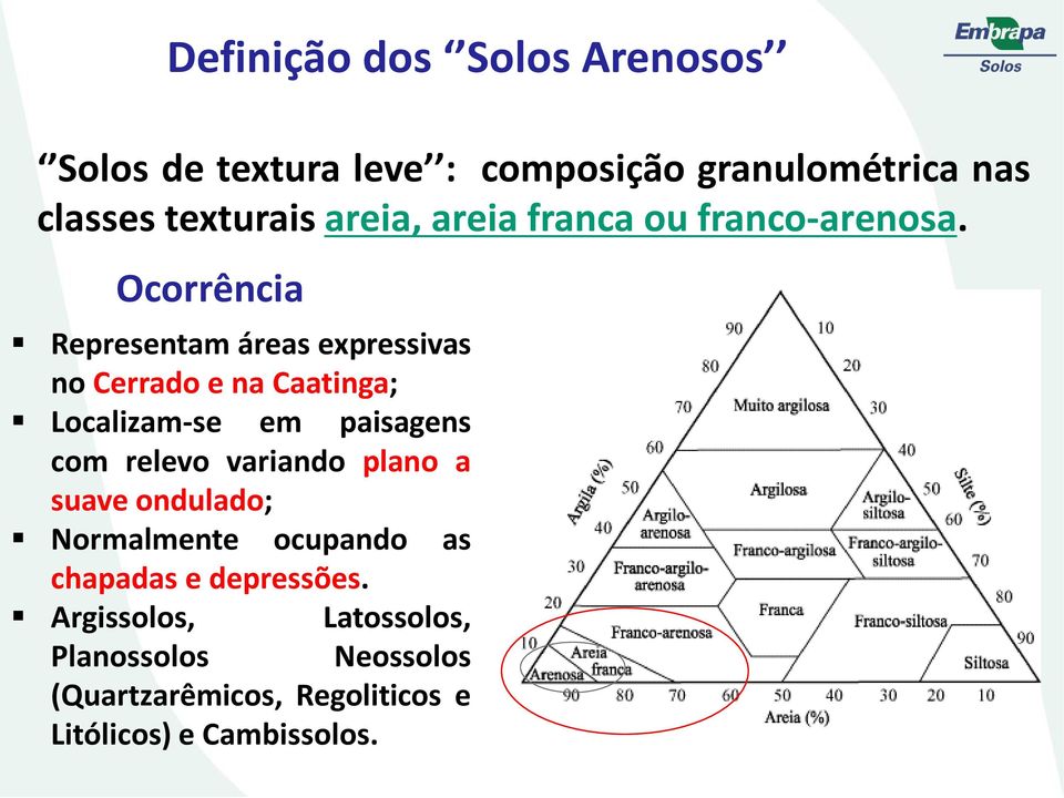 Ocorrência Representam áreas expressivas no Cerrado e na Caatinga; Localizam-se em paisagens com relevo