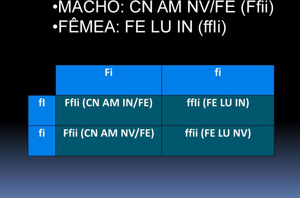 (CN AM IN/FE) ffii (FE LU IN) fi