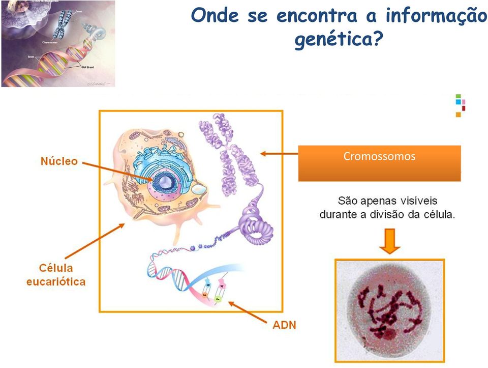 informação