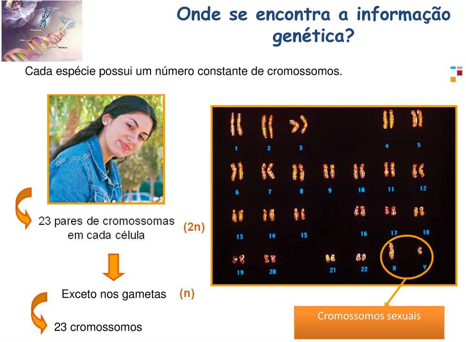 Cada espécie possui um número