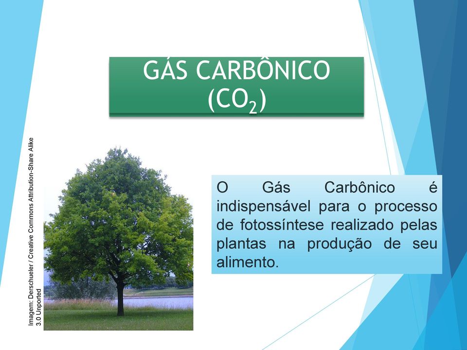 0 Unported GÁS CARBÔNICO (CO 2 ) O Gás Carbônico é