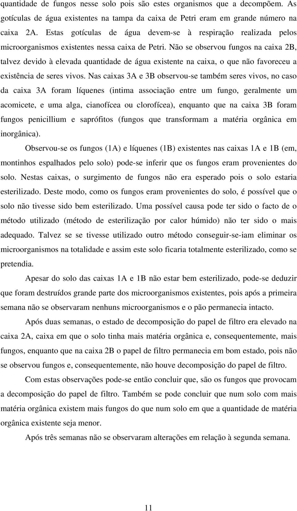 Não se observou fungos na caixa 2B, talvez devido à elevada quantidade de água existente na caixa, o que não favoreceu a existência de seres vivos.