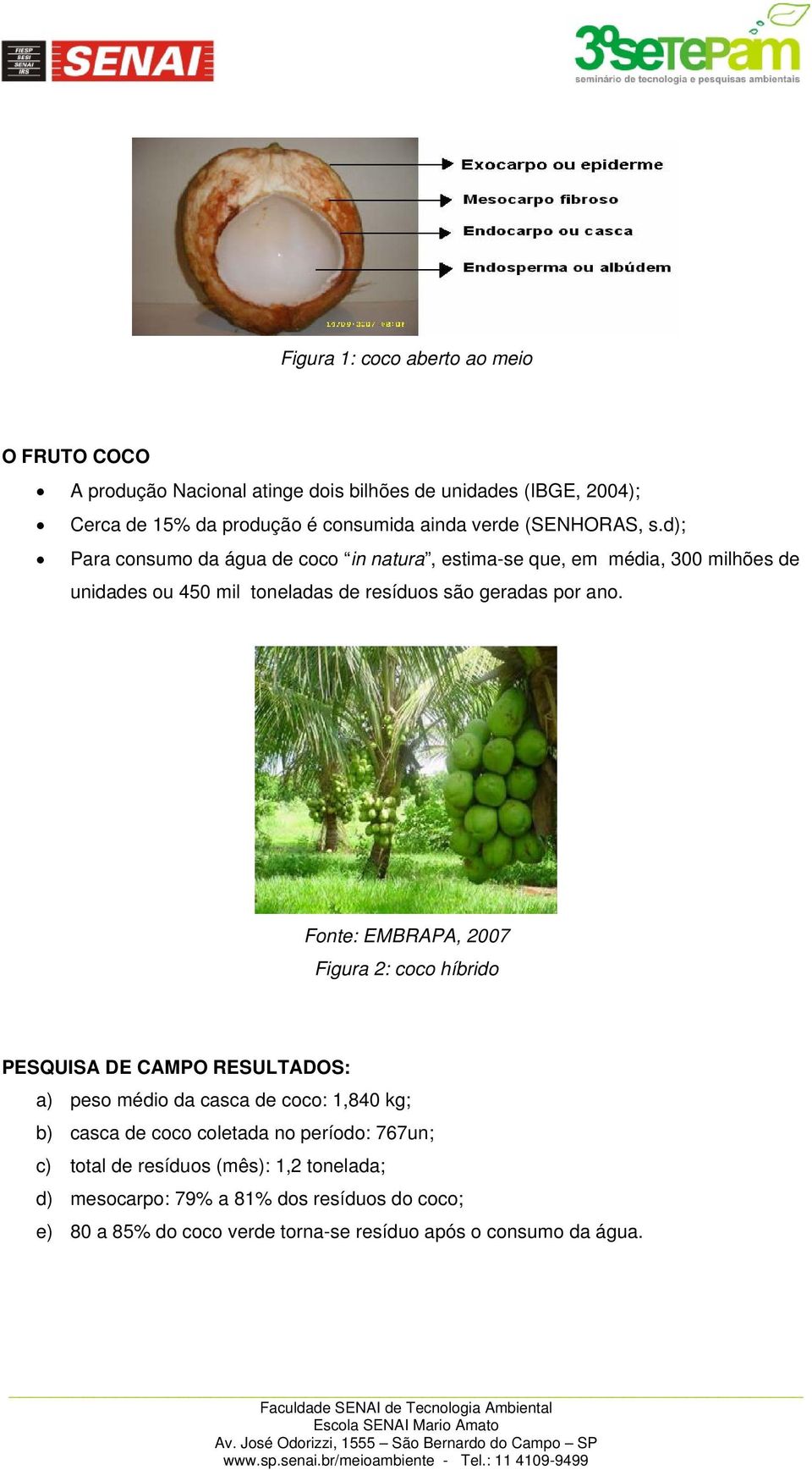 Fonte: EMBRAPA, 2007 Figura 2: coco híbrido PESQUISA DE CAMPO RESULTADOS: a) peso médio da casca de coco: 1,840 kg; b) casca de coco coletada no período: