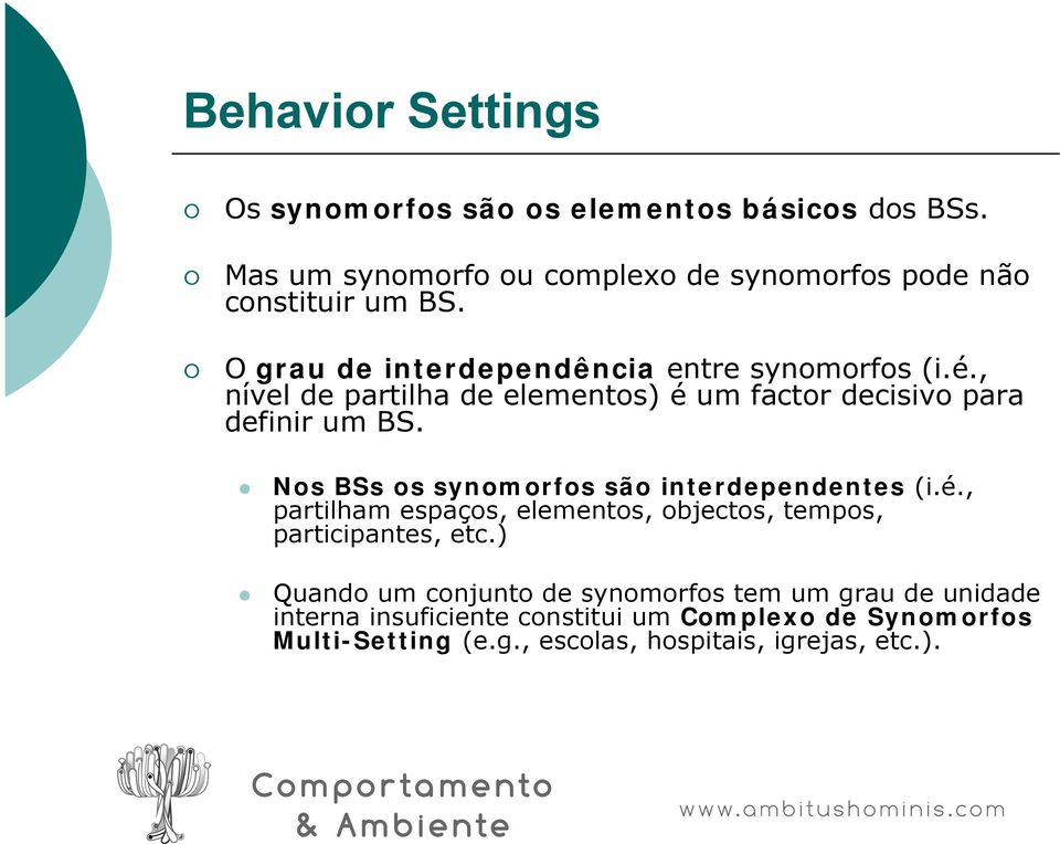 Nos BSs os synomorfos são interdependentes (i.é., partilham espaços, elementos, objectos, tempos, participantes, etc.