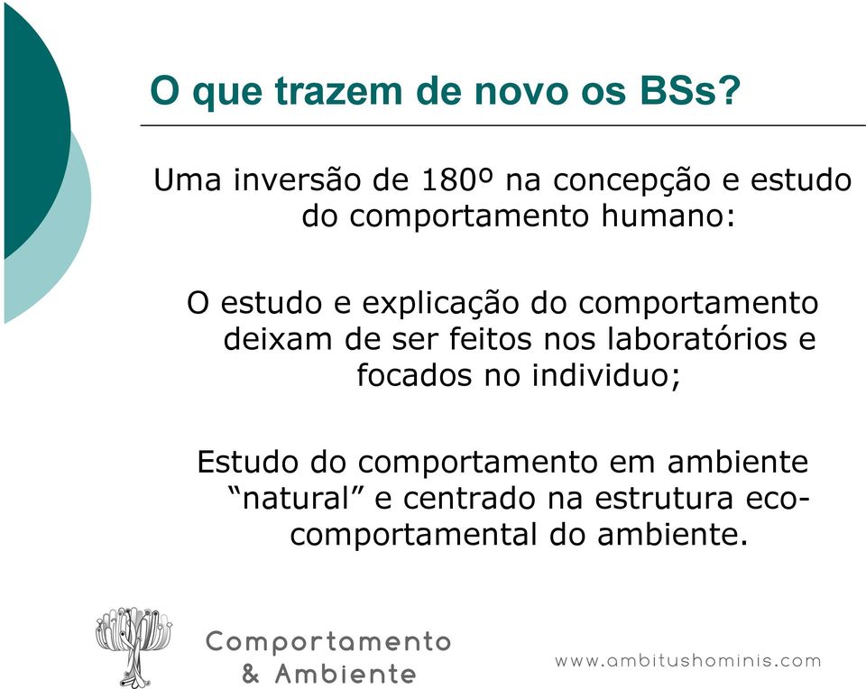 estudo e explicação do comportamento deixam de ser feitos nos