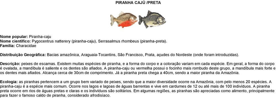 Existem muitas espécies de piranha, e a forma do corpo e a coloração variam em cada espécie. Em geral, a forma do corpo é ovalada, a mandíbula é saliente e os dentes são afiados.