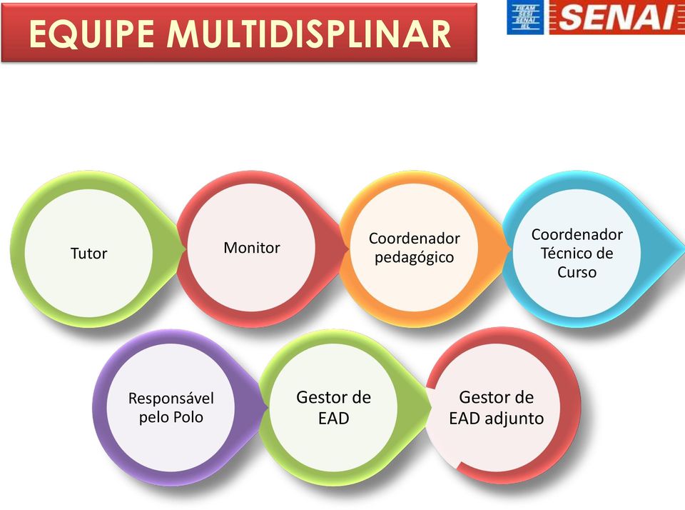 Técnico de Curso Responsável pelo