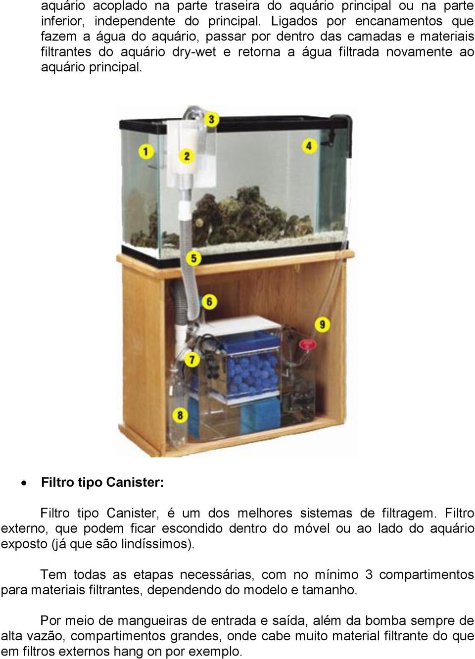 Filtro tipo Canister: Filtro tipo Canister, é um dos melhores sistemas de filtragem. Filtro externo, que podem ficar escondido dentro do móvel ou ao lado do aquário exposto (já que são lindíssimos).