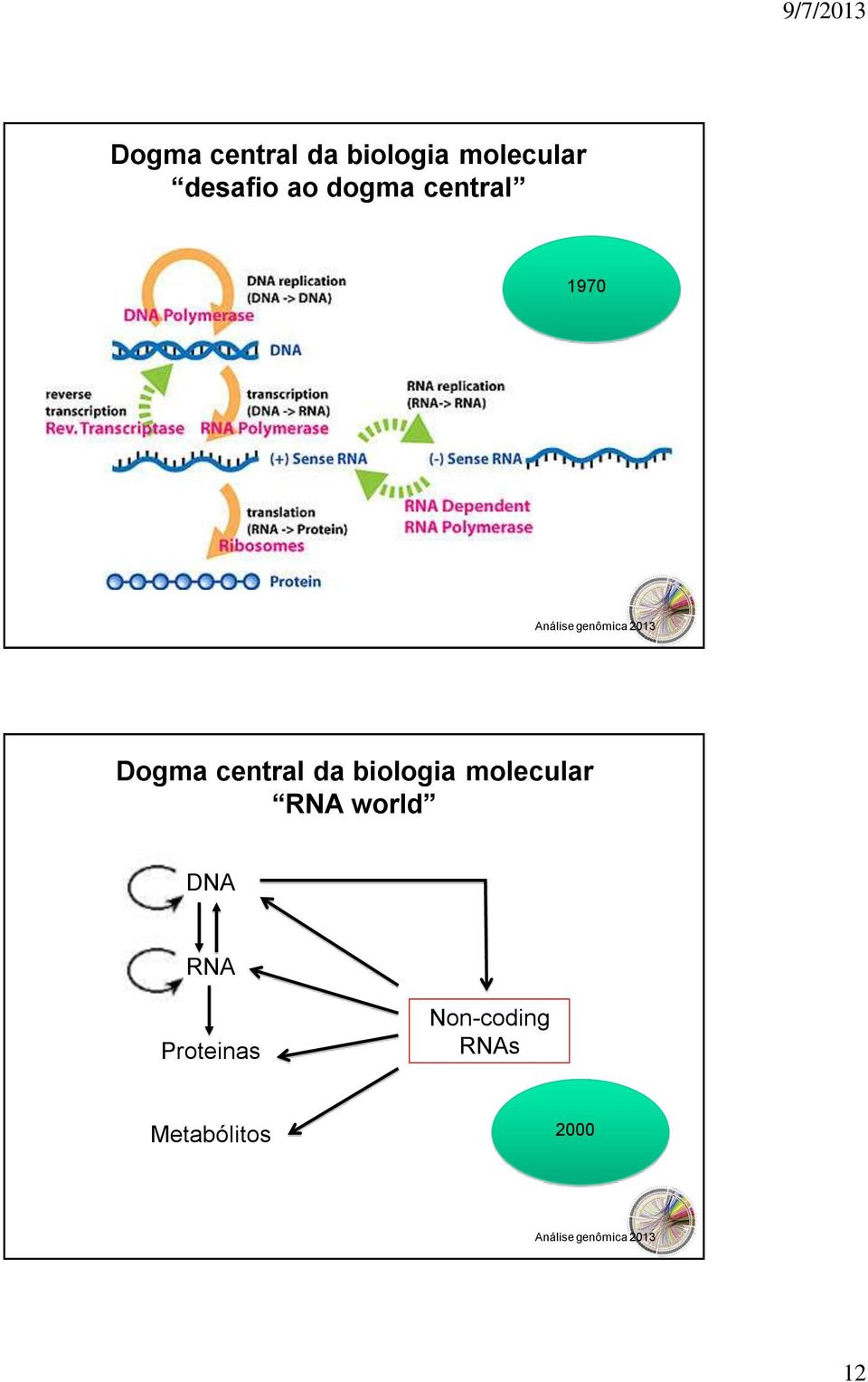 DNA RNA Proteinas Non-coding RNAs