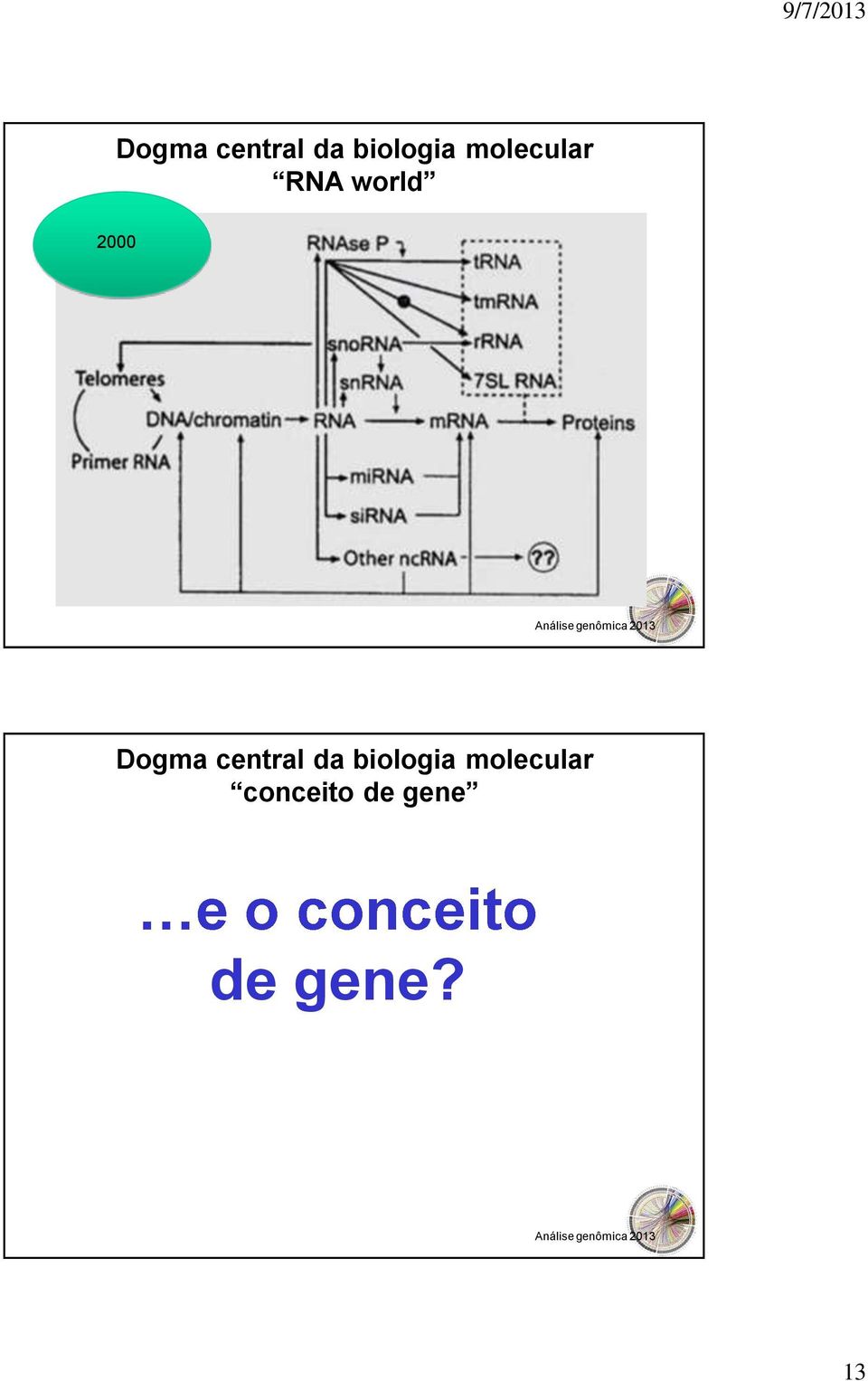 molecular conceito de gene